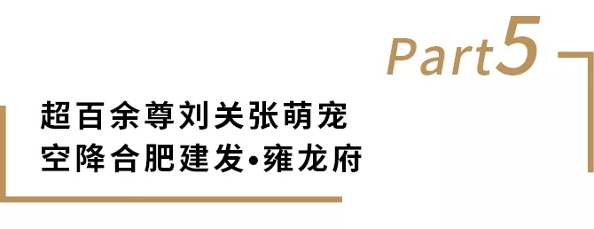 新澳门全年免费原料网